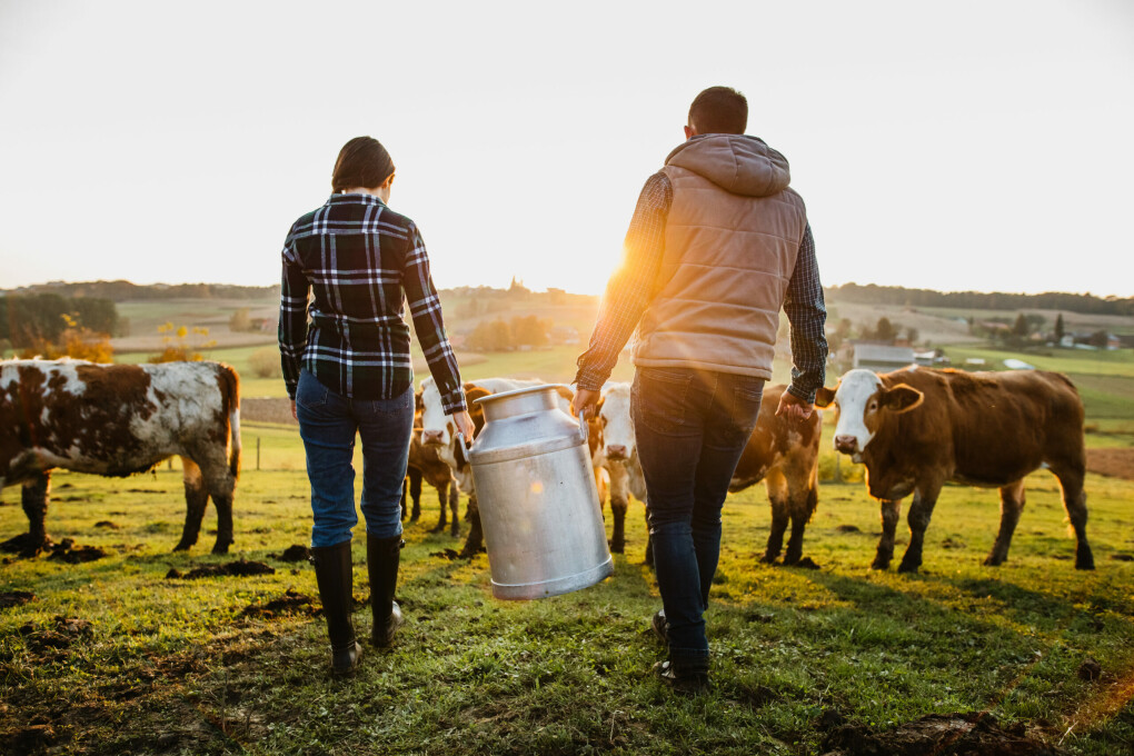 Les éleveurs laitiers bio de la Coopérative Sodiaal lancent le Bio Pré de Vous