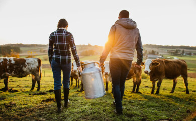 Les éleveurs laitiers bio de la Coopérative Sodiaal lancent le Bio Pré de Vous