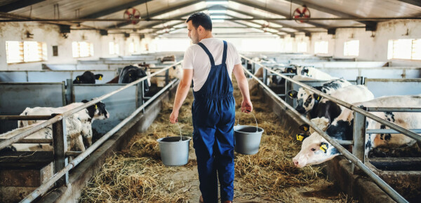 Des hommes et des femmes engagés