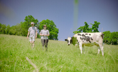 Préparons la filière laitière de demain en CHD