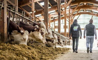 bleu-blanc-coeur-sodiaal-professionnel