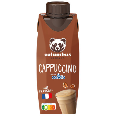 Brique Cappuccino &#8211; 25 cl &#8211; Columbus Candia