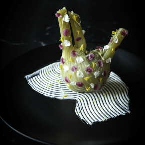 Fenouils de ma belle-mère sauce fromage blanc au cumin