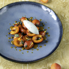 Abricots Marinés et sorbet fromage blanc romarin