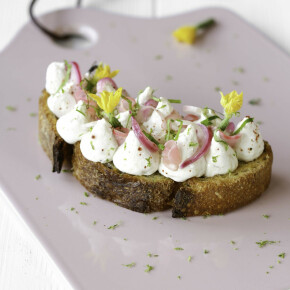 Tartine gourmande, rillette de sardine au fromage frais de campagne, herbes folles et condiments